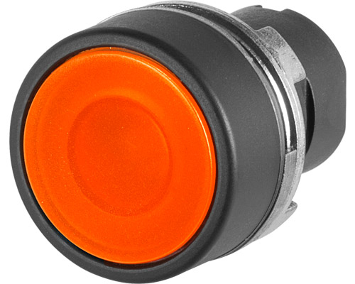020PLIA 01 1